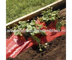 Onkruidfolie 1,2x10 Meter Onkruidfolie verhindert de groei van onkruid zonder gebruik van Chemicaliën en zorgt voor een optimale Rode verkleuring van Tomaten, Aardbeien en andere rode Vruchten Onkruid Folie, Onkruiddoek, Onkuiddoek Tuin, Tuingereedschap