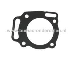 Koppakking voor Briggs and Stratton Motoren op Grasmaaiers, Tuintrekkers, Frontmaaiers, Cirkelmaaiers, Gazonmaaiers Kop Pakking, Afdichting, Dichting, Pakking 290442, 290446, 290447, 290772, 290777, 294440, 294442, 294446, 294447, 294772, 294775, 294776,