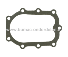 Koppakking voor Briggs and Stratton Motoren op Grasmaaiers, Tuintrekkers, Frontmaaiers, Cirkelmaaiers, Gazonmaaiers Kop Pakking, Afdichting, Dichting, Pakking 243431, 243432, 243434, 243436, 243437, 243451, 243452, 243457