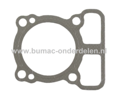 Koppakking voor Briggs and Stratton Motoren op Grasmaaiers, Tuintrekkers, Frontmaaiers, Cirkelmaaiers, Gazonmaaiers Kop Pakking, Afdichting, Dichting, Pakking 100602, 100605, 100607, 10060B, 100802, 100805, 100807, 10080B, 101602