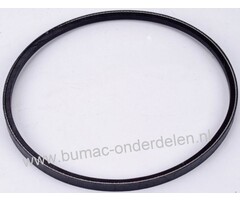 V snaar Rijaandrijving Castelgarden R43TR, R434TR, RL430TR, RL434TR, TD430TR, TDL430TR,  CL430TR en CL434TR met een 43 Cm Maaidek Grasmaaiers, Benzinemaaiers, Loopmaaiers