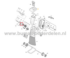 V-Snaar voor STIGA, Castelgarden, Alpina, Mountfield Elektrische Hakselaars, Houtversnipperaar ACH 2.2E, BIO MASTER 2200, CH 2.2E, HACKSLER 4020/2200, MC2200