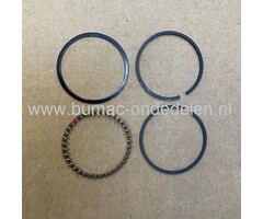 Zuigerveren voor DOLMAR, MAKITA, ROBIN PB250.4, BHX250L Bladblazers Zuigerveer Set PB2504, PB-250.4
