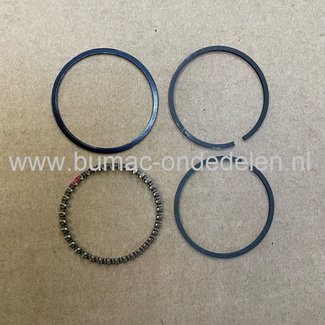 Zuigerveren voor DOLMAR, MAKITA, ROBIN PB250.4, BHX250L Bladblazers Zuigerveer Set PB2504, PB-250.4