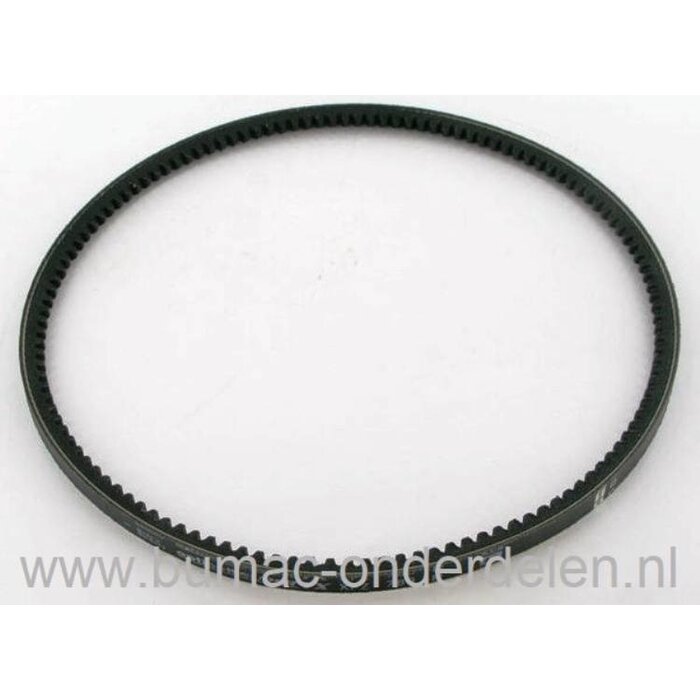 V-Snaar Rijaandrijving voor Stiga, Castelgarden, Alpina, Mountfield Gazonmaaiers, Grasmaaiers, Aandrijfsnaar Wielen, Aandrijfriem 460 PD, 462 PD, 464 PD, 4820 PD BW EL 4S, 514 PD, AL6 46 VAQ, AL6 46 VHQ, AL6 48 VHQ, AL6 48 VQ, BG PRO SERIE-1, BG PRO SERIE