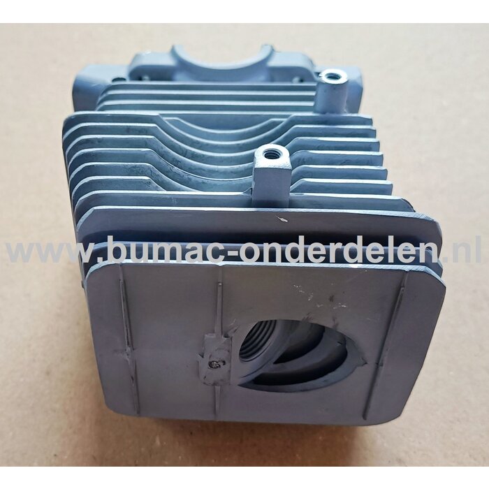 Cilinder set Ø 40 mm voor Stihl 019, 019T, MS190, MS190T Kettingzaag - Motorzaag Cilinderset Compleet met Zuiger, Zuigerveer, Pistonpen en Borgclips voor STIHL 019, 019 T, MS 190, MS 190 T Kettingzagen, Motorzagen, Cylinderset, onderdelen