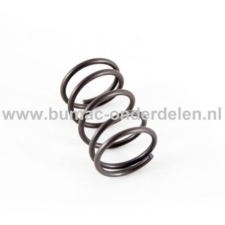 Klepveer voor Honda Motor op Grasmaaier, Trilplaat, Waterpomp, Generator, Veegmachine Klep Veer GC135, GC160, GC190, GCV135, GCV160, GCV190, GC 135, GC 160, GC 190, GCV 135, GCV 160, GCV 190, onderdeel