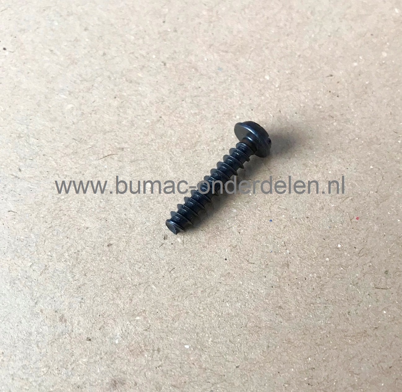 Torx bout voor Stiga, Castelgarden, Alpina, Mountfield Heggenschaar voor bevestiging van handstarter, draagbeugel, motorhuis SBC635KD, SHJ550, SHP60, XC48S, XH60, XHJ550, BL510S, HTC550, HTJ550, HW6046, BK27E, BK35ED, BK45E, SP316, SPR276, THTC25, XB253D