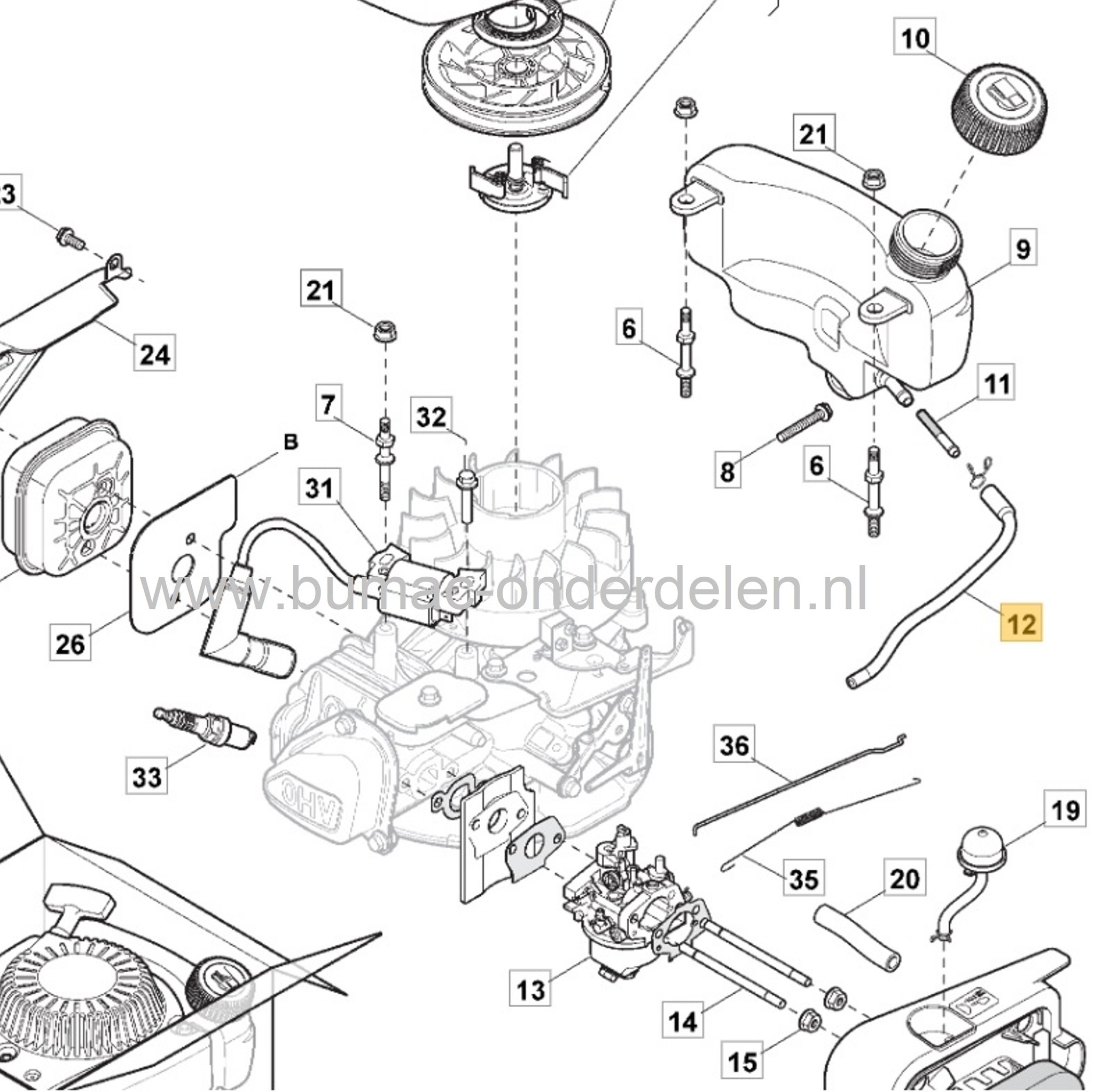 Benzineslang voor GGP Motor op Stiga, Castelgarden, Mountfield, Alpina Grasmaaiers, brandstofslang voor BL410, BL460, CR484, CS434, CS484, EP414, EPL424, ES414, ES464, HP414, RS100, RSC100, S421, S461, SP164, SP414, XC43, XC48 motoren onderdeel GGP