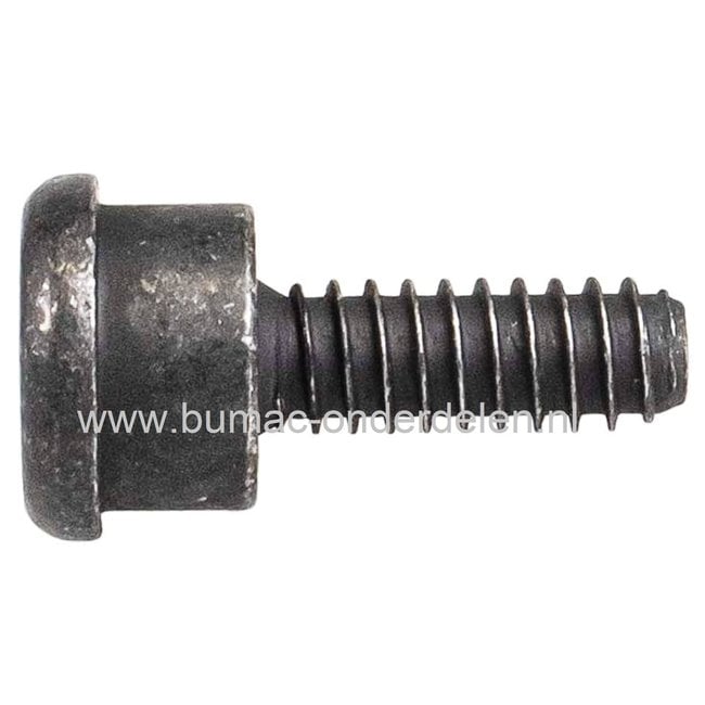 Torx Schroef met Borst voor Husqvarna, Jonsered, McCulloch, Zenoah Kettingzaag, Bevestigen hendel kettingrem, Veiligheidsbeugel, bortbout, schroef voor 135, 140, 330i, 340EPA, 345EPA, 350EPA, 351EPA, 357XPEPA, 359EPA, 435, 436Li, 440, 450 Rancher, 536LiXP