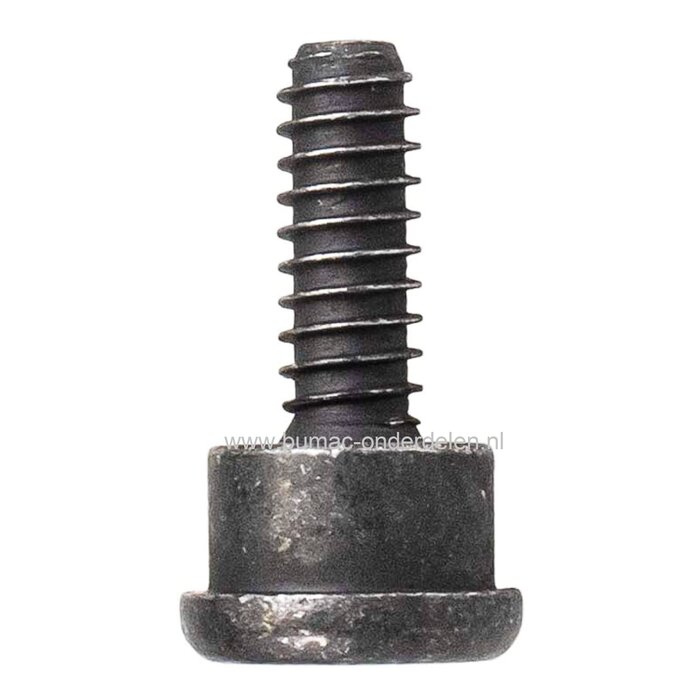 Torx Schroef met Borst voor Husqvarna, Jonsered, McCulloch, Zenoah Kettingzaag, Bevestigen hendel kettingrem, Veiligheidsbeugel, bortbout, schroef voor 135, 140, 330i, 340EPA, 345EPA, 350EPA, 351EPA, 357XPEPA, 359EPA, 435, 436Li, 440, 450 Rancher, 536LiXP