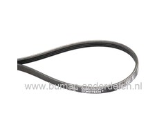 Ribriem voor Sabo 38BV, 38EV verticuteermachine, Rib riem met 4 ribben voor aandrijving van de verticuteermessen,  onderdeel, v snaar aandrijving messen, 38 BV, 38 EV