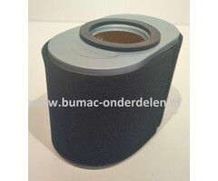 Luchtfilter voor Briggs and Stratton Motor 9H132, 19H232, 19L132, grasmaaier, trilplaat, generator, verticuteermachine, onderdeel