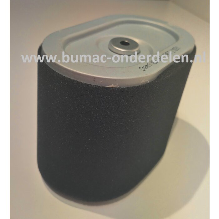 Luchtfilter voor Briggs and Stratton Motor 9H132, 19H232, 19L132, grasmaaier, trilplaat, generator, verticuteermachine, onderdeel