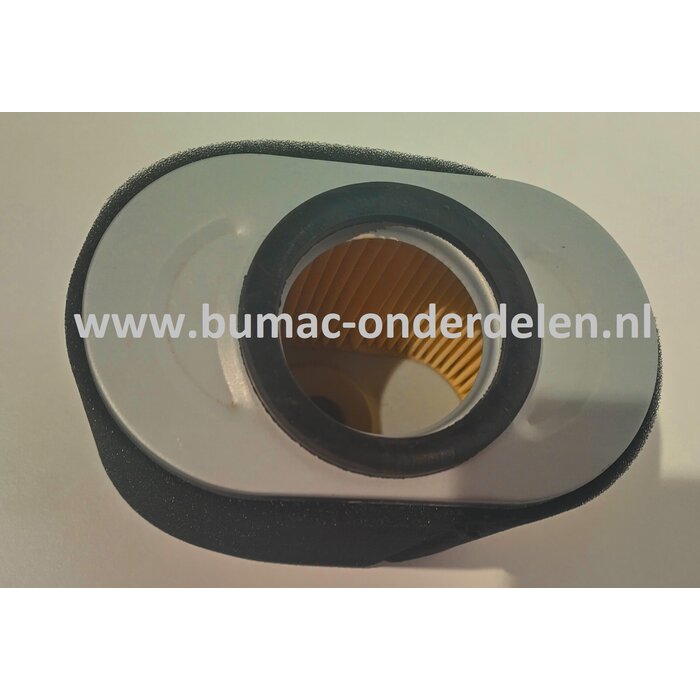 Luchtfilter voor Briggs and Stratton Motor 9H132, 19H232, 19L132, grasmaaier, trilplaat, generator, verticuteermachine, onderdeel