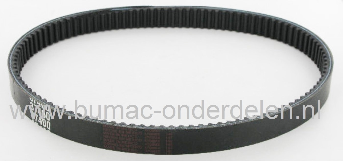 Tandriem 130 Tands voor BRILL, ALKO,  SOLO Electro 380, RazorCut accu 38, RazorCut LION 38 op Elektrische Grasmaaiers, Getande Riem, Aandrijfriem