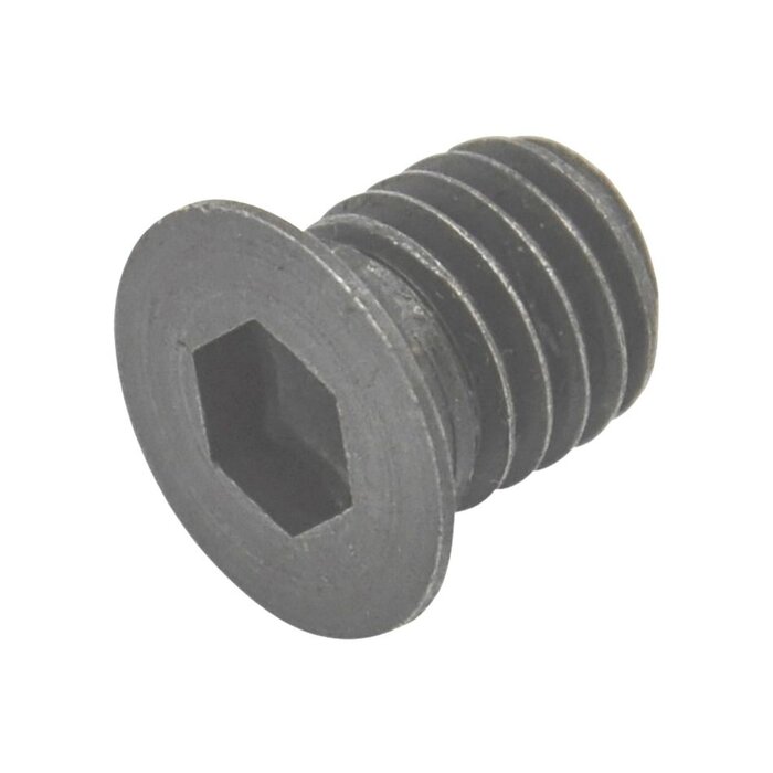Bout inbus M10x10 Metrisch voor Alko Hakselaar, Houtversnipperaar Bout inbus, Cilinderschroef voor montage van Hakselaarmes, imbus bout,onderdeel