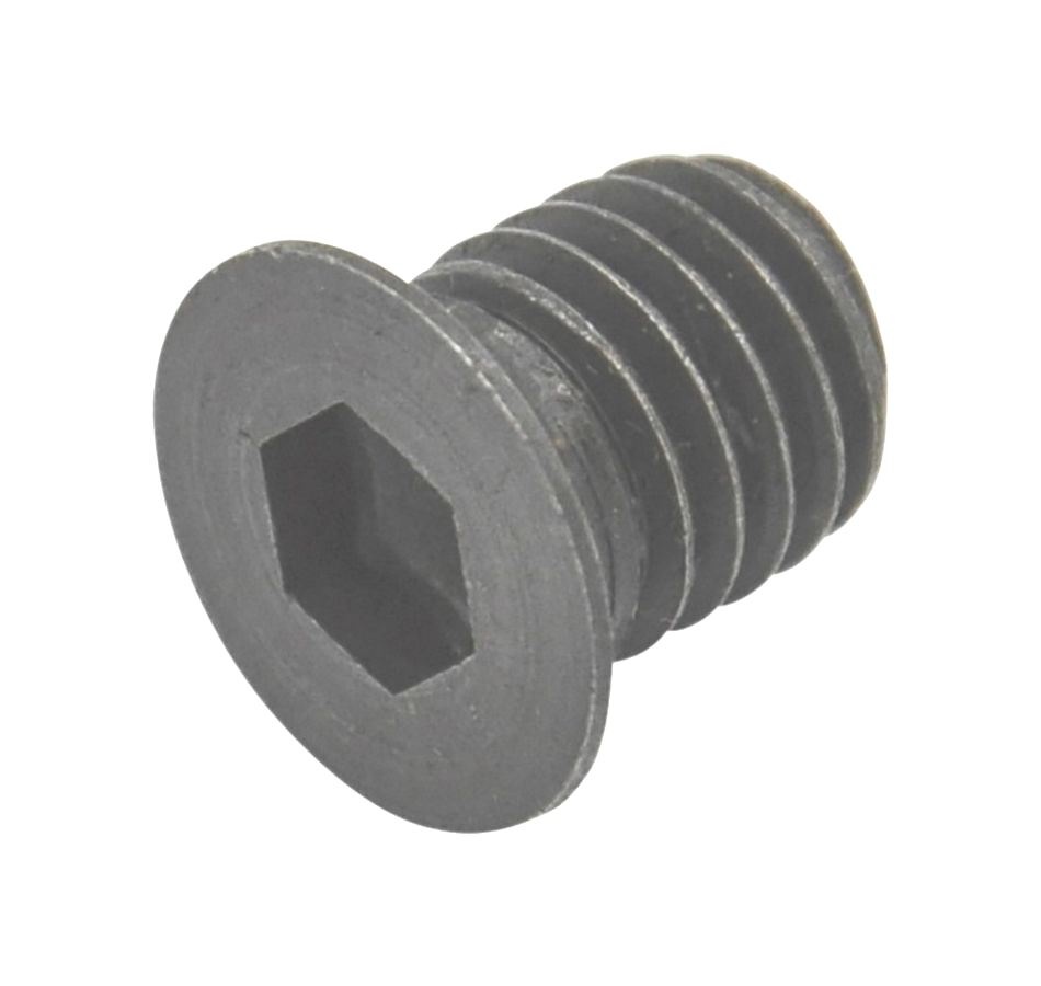 Bout inbus M10x10 Metrisch voor Alko Hakselaar, Houtversnipperaar Bout inbus, Cilinderschroef voor montage van Hakselaarmes, imbus bout,onderdeel