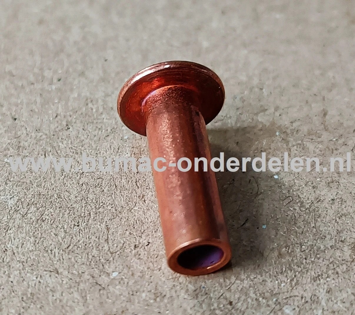 Klinknagel Koper 6x25 mm Koperen bevestigingsmiddel die  bestaat uit een metalen pen die voorzien is van een verdikt uiteinde De meest toegepaste klinknagels hebben een ronde bolle of een verzonken zetkop deze dienen om onderdelen zoals Platen, Profielen,