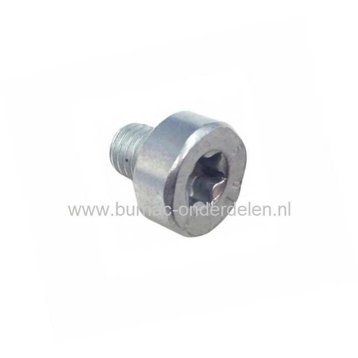 Torx Bout M5x6 mm voor Stihl Kettingzagen, Benzinezagen, Motorzagen Bout Torx, Schroef voor montage uitlaat deksel, 066, MS650, MS660, MS 650, MS 660, onderdelen
