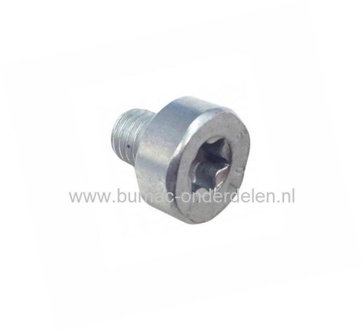 Torx Bout M5x6 mm voor Stihl Kettingzagen, Benzinezagen, Motorzagen Bout Torx, Schroef voor montage uitlaat deksel, 066, MS650, MS660, MS 650, MS 660, onderdelen