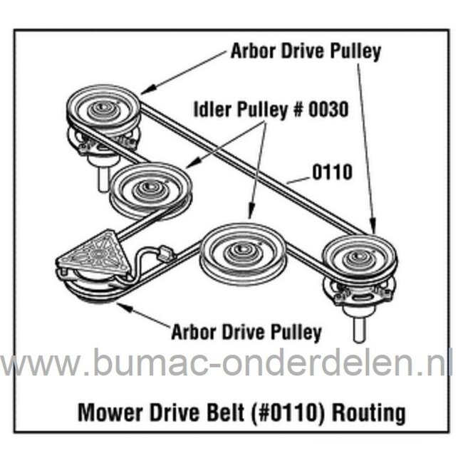 Nastro Freno Catena Motosega- Di Spina Gianvito - Foto 10