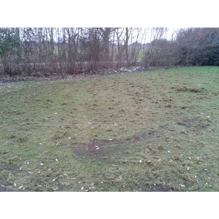 Ontmosser, Verticuteermachine, Gras Ontmossen, Mos verwijderen achter Zitmaaier - Quad - Frontmaaier