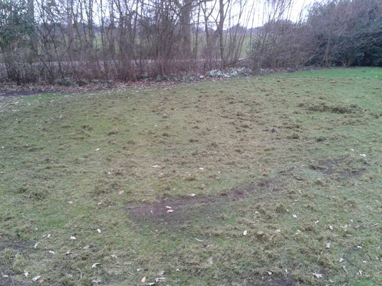 Ontmosser, Verticuteermachine, Gras Ontmossen, Mos verwijderen achter Zitmaaier - Quad - Frontmaaier