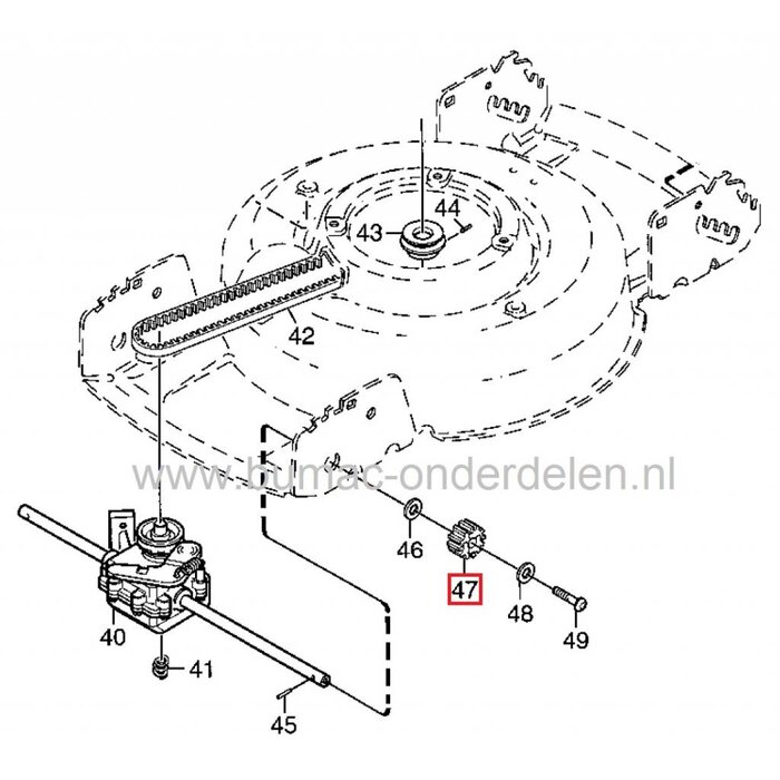 Aandrijftandwiel Loopmaaier STIGA - CASTELGARDEN - MOUNTFIELD - ALPINA, Multiclip S - Multiclip SE - Multiclip 46S - Multiclip 46SE Loopmaaier - Grasmaaier - Cirkelmaaier - Gazonmaaier, Rondsel - Tandwiel Voorwiel Aandrijving