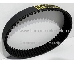 Getande Aandrijfriem 5M295/12 - Hoogwaardige Riem voor Landgoed en Industriële Machines Verticuteermachines Aandrijfriem getand voor Aandrijving van de Wals, Getande V-snaar van Motor naar Beluchtingsas bij Verticuteerders, Beluchters, 5M295/12 Tandriemon