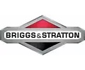 Briggs & Stratton