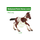 Bullyland Paint Horse veulen – realistisch handbeschilderd speelgoedpaard 1:20 – PVC-vrij figuur met tobiano-patroon en western details, onderdeel