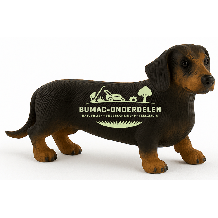 Bullyland Korthaardackel Apollo speelgoed hond, realistisch PVC-vrij hondenonderdeel 7,5 cm