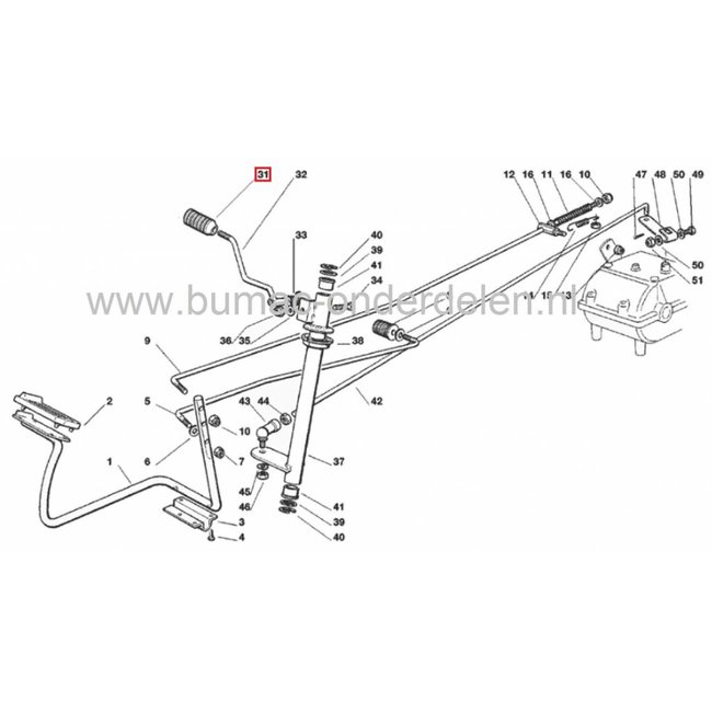 Castel Garden Mountfield Getriebe Antriebsriemen TC102 TCP102 TCP122