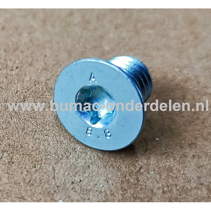 Mesbout M8x10 kop ca. 12,7 mm voor AL-KO H1600, TCS2200, TCS3200 en Gardena GH2000, GH2300, GH2500 hakselaar - houtversnipperaar onderdeel