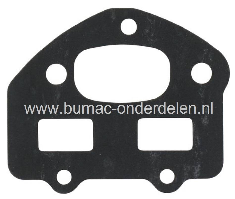 Pakking voor CASTELGARDEN - STIGA - ALPINA - MOUNTFIELD Kettingzaag - Motorzaag, Pakkingen voor Motorzagen - Kettingzagen XC40P - XC42P - XC44P - SP402 - SP422 - SP442 - P402S - P422S - P442S - MC4016 - MC4018 - MC4818