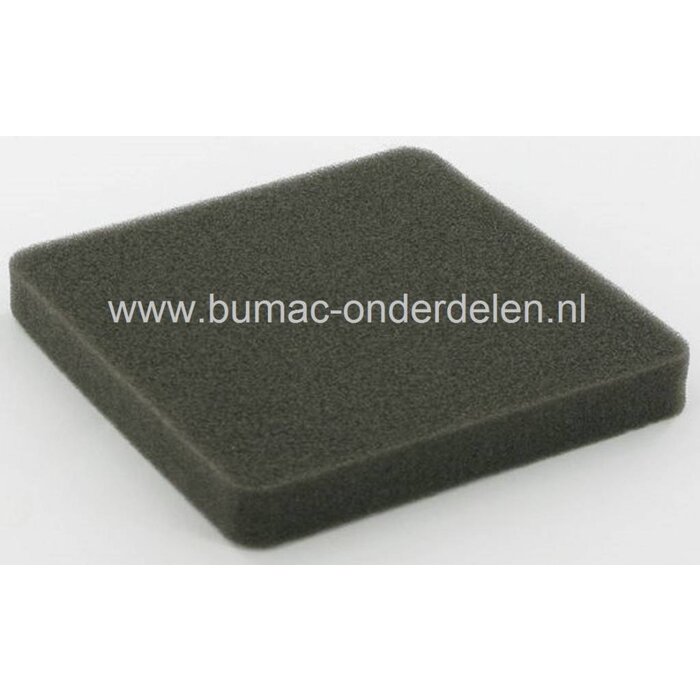 Luchtfilter Schuim voor Honda GXH50 en GXV50 Motoren op Waterpomp - Kart - Vacuümcleaner, onderdeel