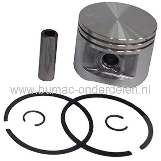 Rynplex Kit cuscinetto paraolio pistone cilindro da 46 mm, for