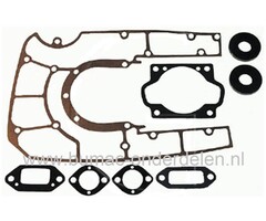 Pakkingset voor Echo CS701SVL - CS601S en CS601SVL Kettingzagen, Set Pakkingen voor Echo en Shindaiwa Kettingzaag - Motorzaag, Diverse Dichtingen voor Echo - Shindaiwa 2 Takt Motoren