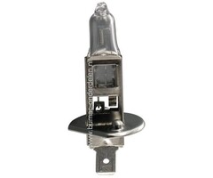 H1 Gloeilamp voor Zwaailicht 12 Volt 55 Watt voor Minikraan - Smalspoortrekker - Hoogwerker - Shovel - Bobcat - Graafmachine - Hijskraan - Trekker - Zitmaaiers