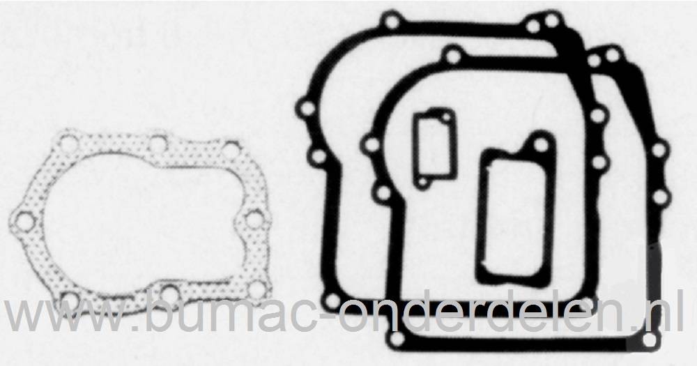 Pakkingset Briggs and Stratton voor Verticale Motoren 4 Pk op Grasmaaiers, Gazonmaaiers, Benzinemaaiers, Cirkelmaaiers, Loopmaaiers, B&S onderdeel
