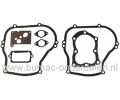 Pakkingset Briggs and Stratton 5 Pk Motoren met Verticale Krukas op Grasmaaiers, Gazonmaaiers, Benzinemaaiers, Cirkelmaaiers, Loopmaaiers, B&S Dichtingset, Pakkingen Set B en S, Dichtingen