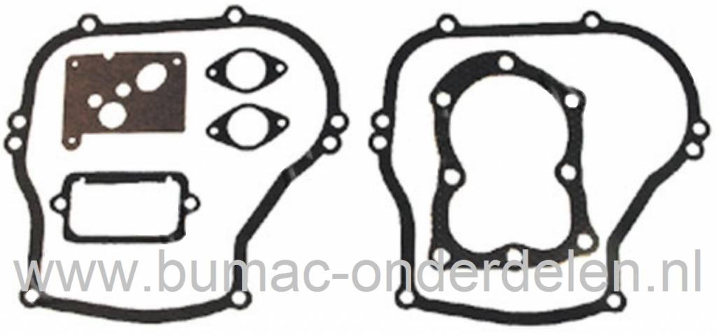 Pakkingset Briggs and Stratton 5 Pk Motoren met Verticale Krukas op Grasmaaiers, Gazonmaaiers, Benzinemaaiers, Cirkelmaaiers, Loopmaaiers, B&S Dichtingset, Pakkingen Set B en S, Dichtingen