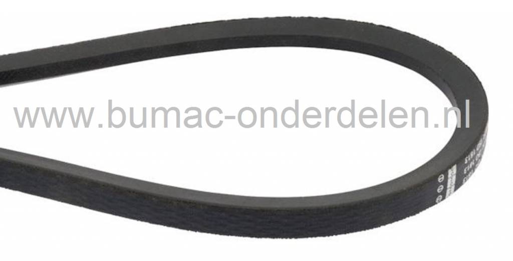 V snaar ALKO Highline 51.3 SP-A, Highline 523SP, Highline 523SPA Grasmaaiers, Riem voor Wielaandrijving AL-KO en BRILL Loopmaaiers, Benzinemaaiers, Cirkelmaaiers, Aandrijfriemen, Snaren Rijaandrijving, Riemen Alko Wiel Aandrijving Gazonmaaier onderdeel