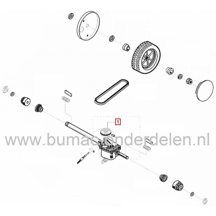 Poelie ALKO - BRILL Grasmaaiers, Riemschijf voor Transmissie Loopmaaiers, Aandrijfschijf, Pouly voor AL-KO Gazonmaaiers, Riemschijven, Poelies Alko en Brill Duwmaaiers, Cirkelmaaiers, Grasmachines, Classic 46 BR, 520 BR RS Silver