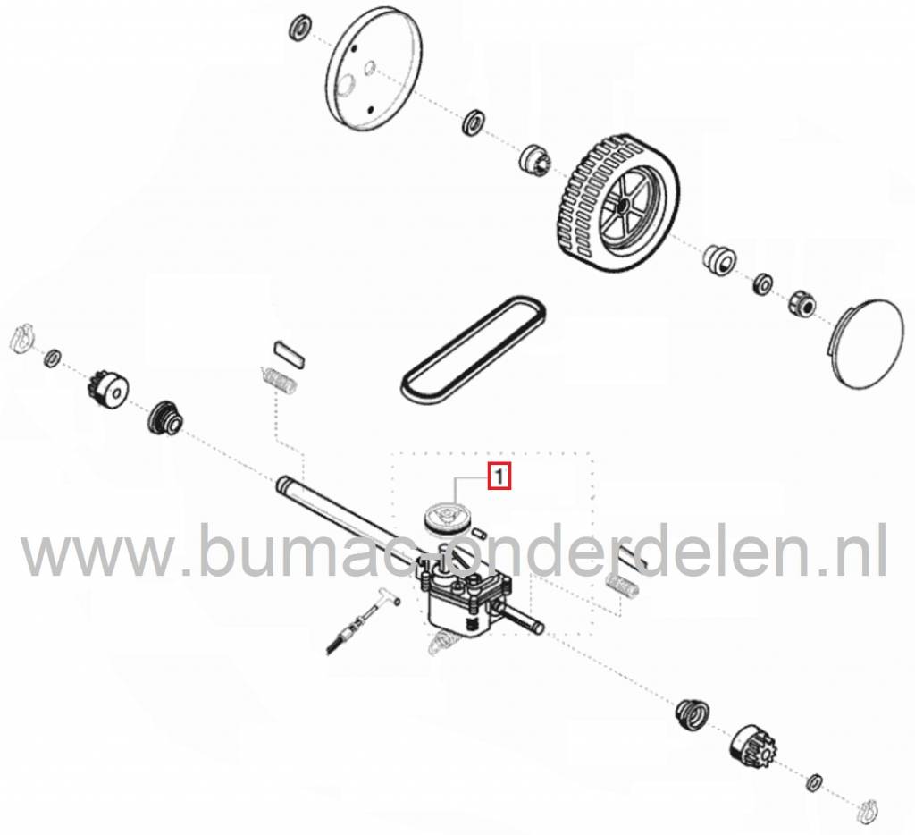 Poelie ALKO - BRILL Grasmaaiers, Riemschijf voor Transmissie Loopmaaiers, Aandrijfschijf, Pouly voor AL-KO Gazonmaaiers, Riemschijven, Poelies Alko en Brill Duwmaaiers, Cirkelmaaiers, Grasmachines, Classic 46 BR, 520 BR RS Silver