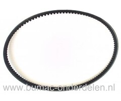Riem Rijaandrijving ALKO 470 BR, Comfort 42 BR, Powerline 4700 BRV, BRILL Gazonmaaiers, Getande V snaar Rijden, Aandrijfriemen AL-KO, Brill, Riemen, Snaren Wielaandrijving Loopmaaiers, Grasmaaimachines, Grasmaaiers, Snaar Motor Transmissie Alko, Brill