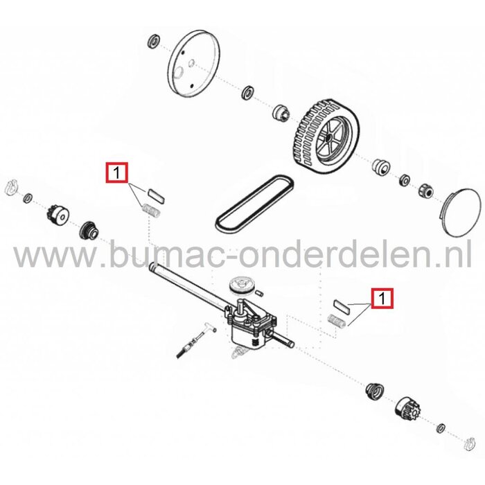 Pal met Veer ALKO - BRILL - SOLO Loopmaaiers, Gazonmaaiers, Alko - Brill Pin met Veer voor Tandwiel Wielaandrijving, Pallen Pignonwielen, Rondsels Wielen Grasmaaiers, Cirkelmaaiers, Meenemer voor Tandwielen Wiel Aandrijving Duwmaaiers AL-KO