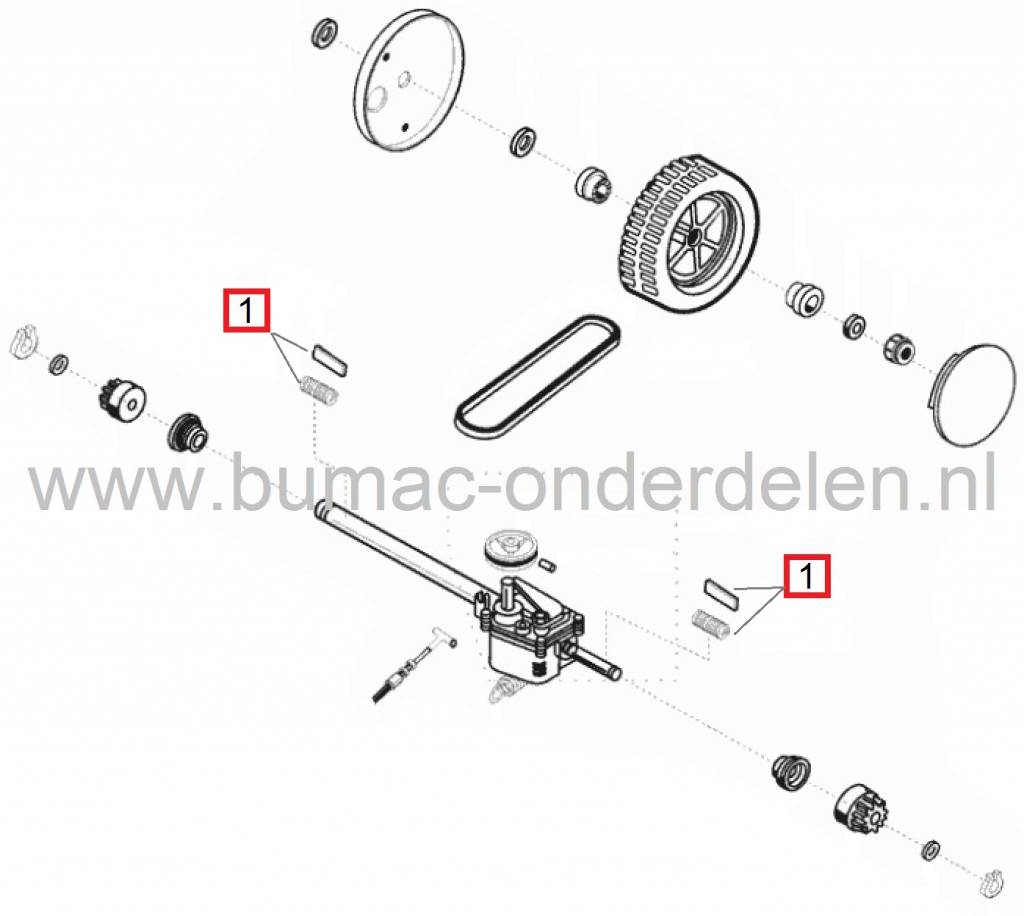 Pal met Veer ALKO - BRILL - SOLO Loopmaaiers, Gazonmaaiers, Alko - Brill Pin met Veer voor Tandwiel Wielaandrijving, Pallen Pignonwielen, Rondsels Wielen Grasmaaiers, Cirkelmaaiers, Meenemer voor Tandwielen Wiel Aandrijving Duwmaaiers AL-KO