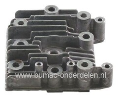 Cilinderkop voor Briggs and Stratton Quantum - Europe en Max Motoren op Grasmaaier, Grasmachine